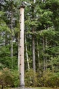 KatÃ¢â¬â¢s Bear Wife Totem Pole at Totem Bight State Historical Park, Ketchikan, Alaska.